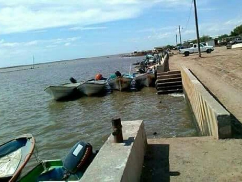 ¡Otra víctima!, tiburon le arrebata vida a pescador del Paredón