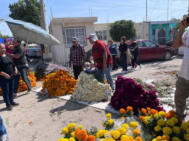 Otro año de pérdidas para productores laguneros de flor