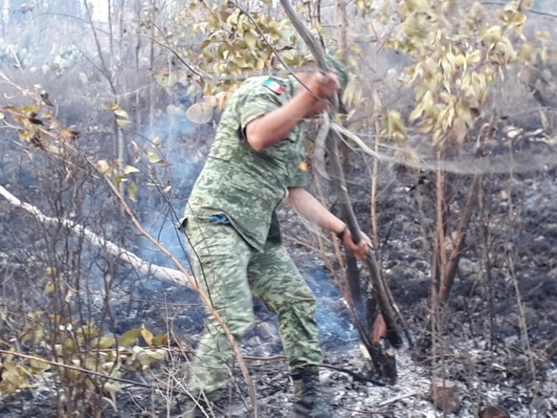 Otro incendio en La Bufa, ya suman 9