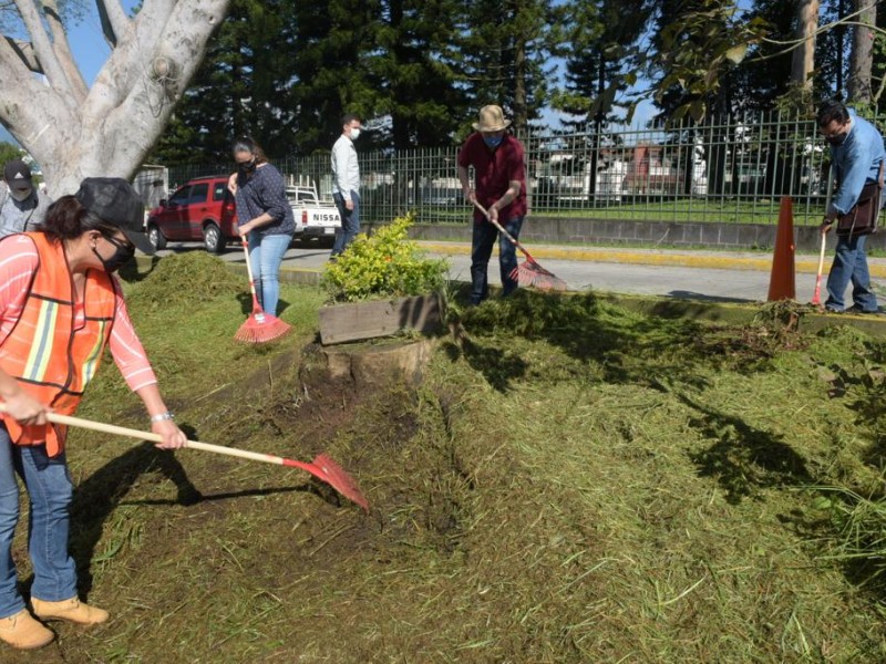 Pagarán $150 por chapear áreas verdes de Xalapa, ¿Te animarías?