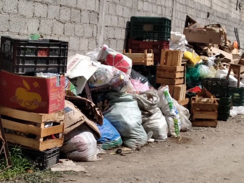 Pagarán doble por recolección en Coapan, implementan prueba piloto