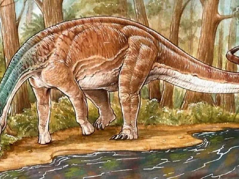 Paleontólogos descubren nueva especie de dinosaurio en la Patagonia