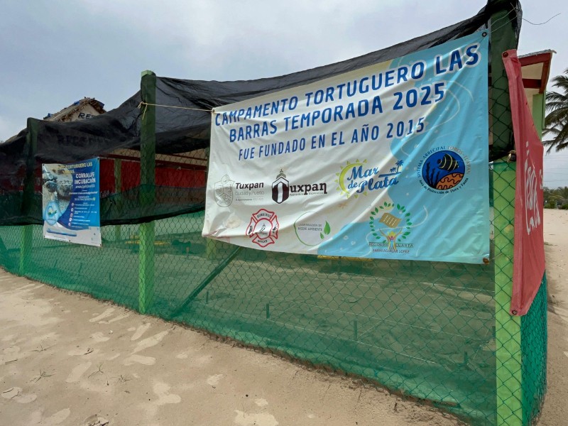 Palizada y lluvias complican liberación de tortugas en Barra Norte