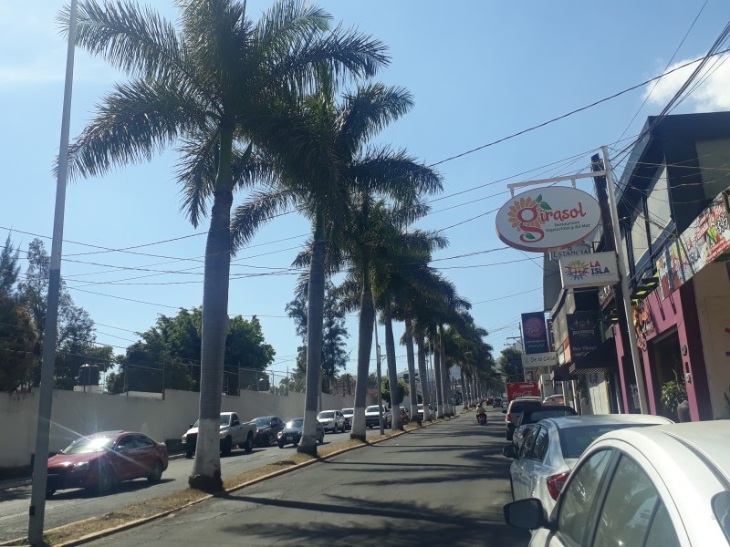 Palmeras; conflicto en remodelación de avenida Jacarandas