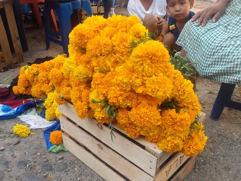 Pandemia amenaza venta de flores para día de muertos | MEGANOTICIAS