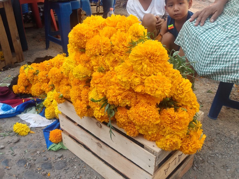 Pandemia amenaza venta de flores para día de muertos