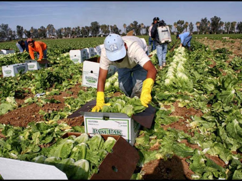 Pandemia disminuyó trabajo de inmigrantes nayaritas