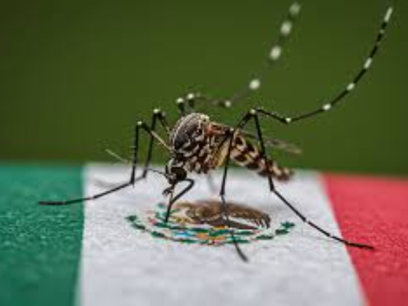 El dengue, un padecimiento que merece seguimiento