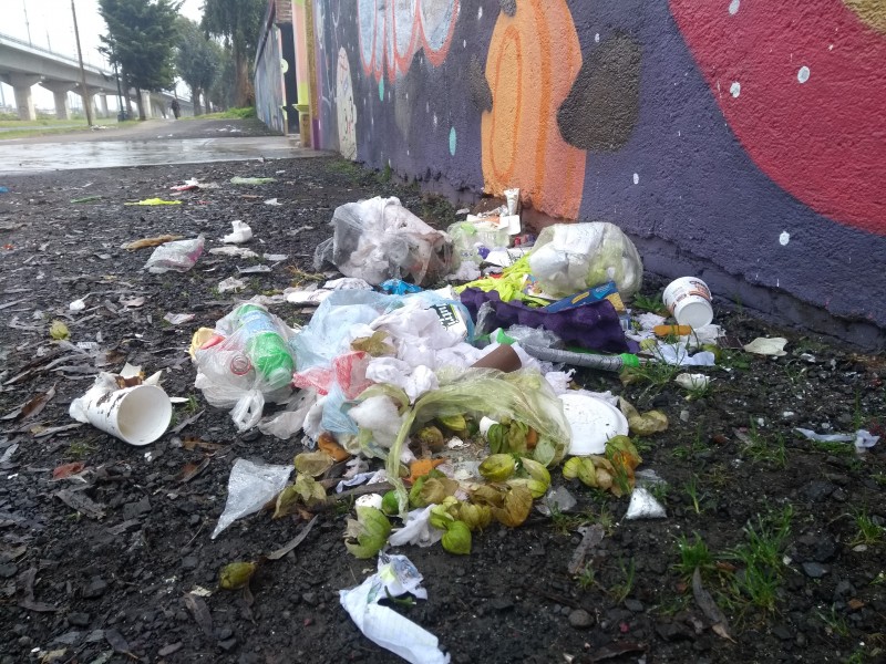 Panteón custodiado por basura en Metepec