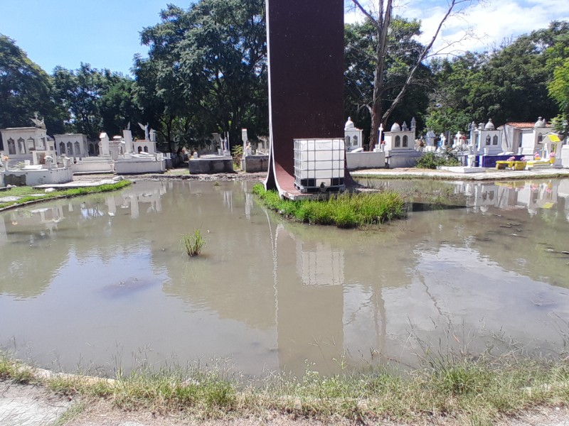 Panteón “La Cruz” abandonado: agua estancada, maleza y árboles caídos