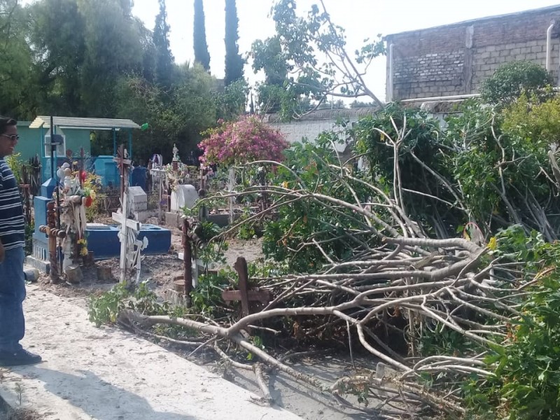 Panteón municipal sufrió daños por lluvia