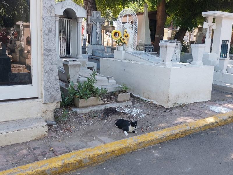 Panteones de Culiacán, listos para recibir a familias en Día de Muertos