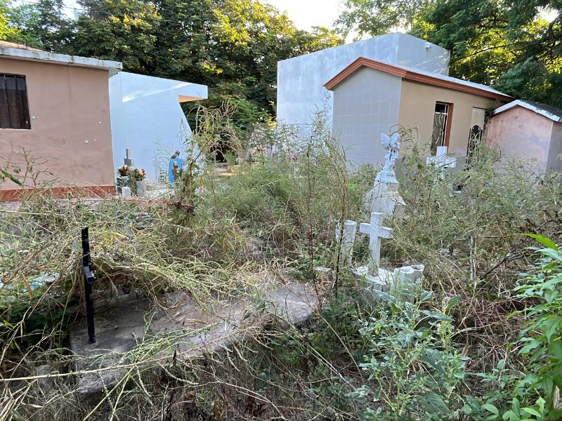 Panteón municipal de Guasave luce entre el abandono y el peligro