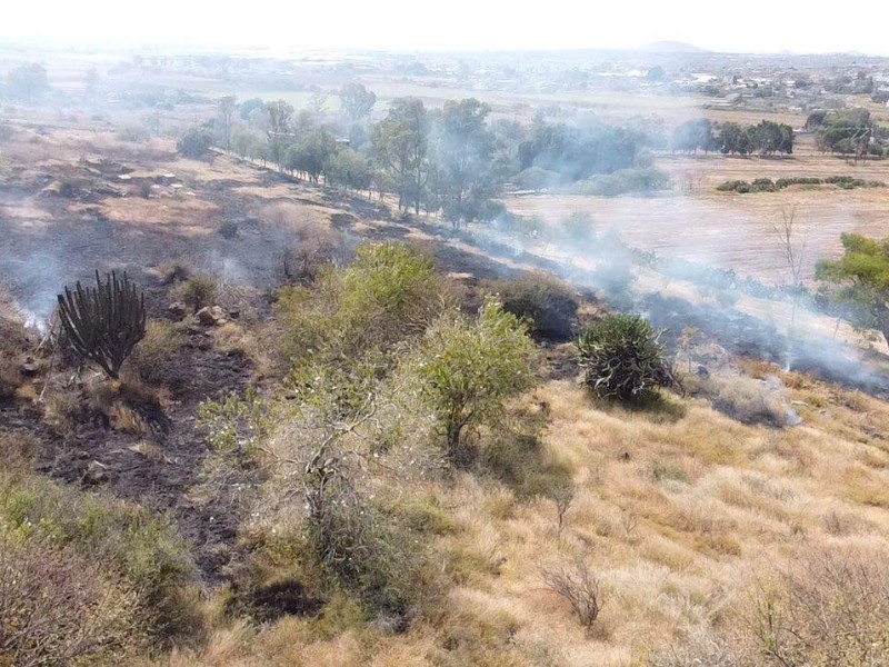 PAOT llama a evitar la quema de esquilmo