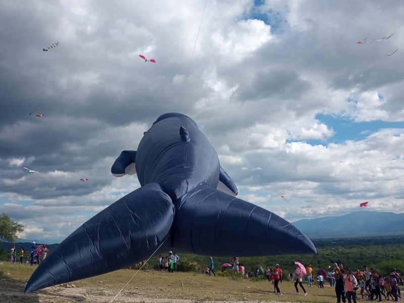 Papalotes y enorme ballena adornaron el cielo de Ajalpan
