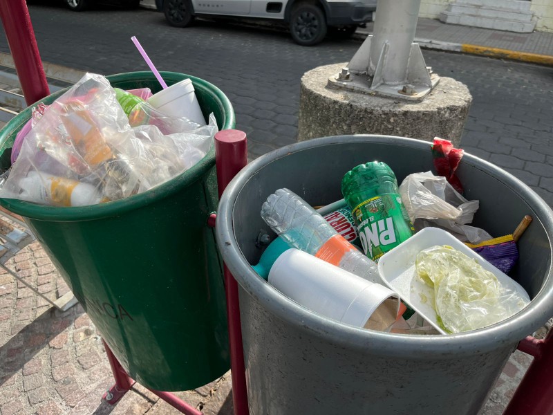 Papeleros Orgánicos-Inorgánicos: mal uso, falta de información y poco funcionales