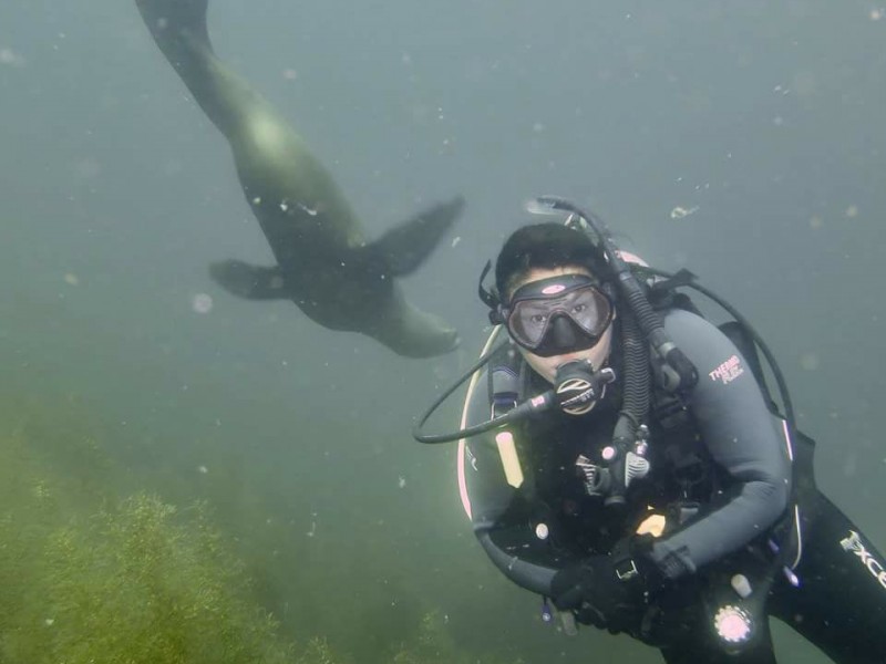 Para este fin de semana buceo en SC