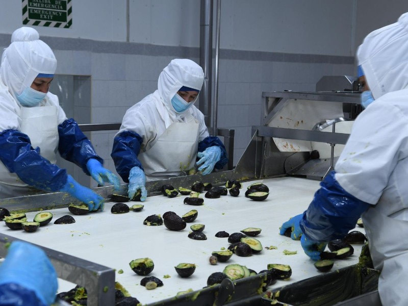 Parque Bajío: la apuesta de Michoacán para detonar agroindustria, autopartes y logística