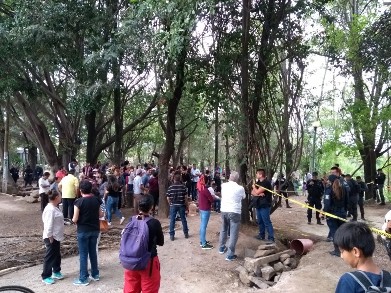 Parque de Arboledas del Sur enfrenta vecinos