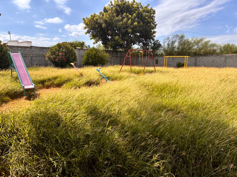 Parque de Jardines del Bosque,invadido por la maleza;vecinos exigen atención urgente