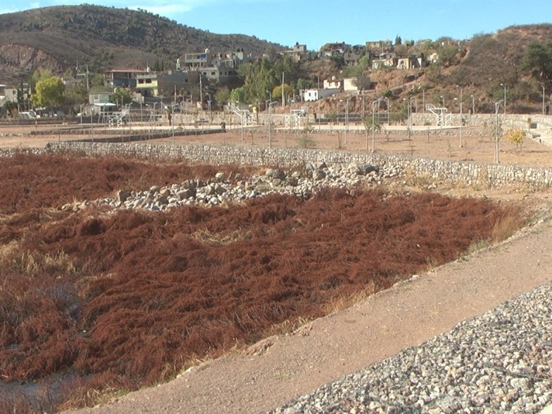 Parque del represo abandonado es nominado a premio internacional