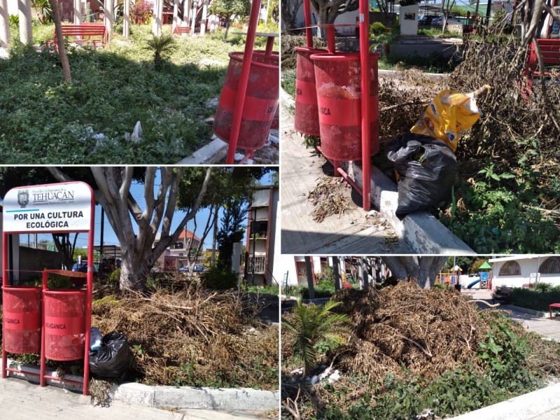 Parque en 4 Norte abandonado entre basura y maleza