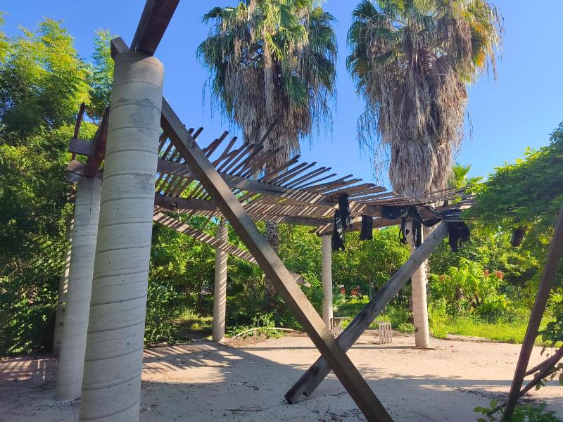Parque en el abandono: maleza, oscuridad y estructuras colapsadas en Viñedos