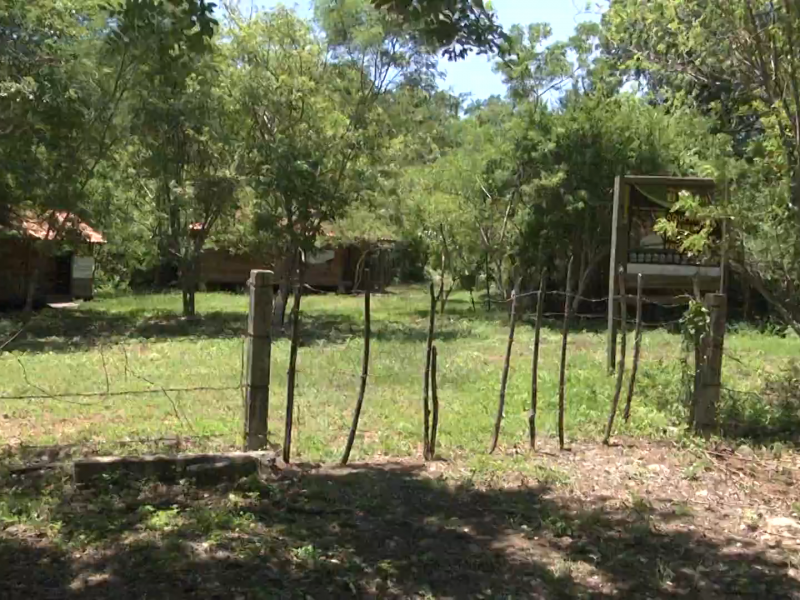 Parque Estatal El Limón se debe respetar: Semaren