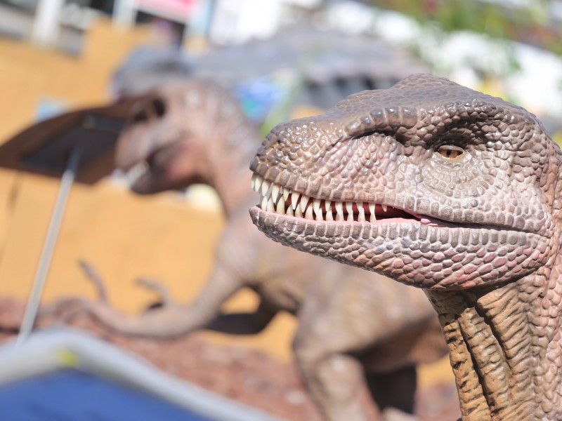 Parque Guanajuato vuelve con parque temático de dinosaurios