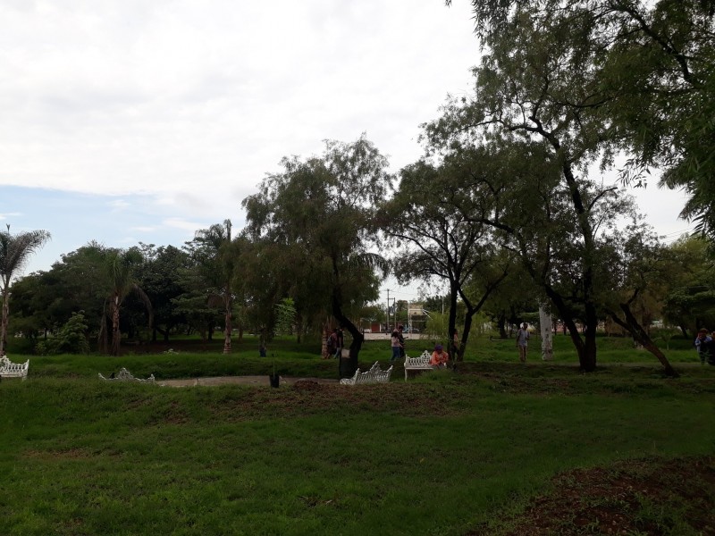 Parque Metropolitano fue acondicionado para reforestación