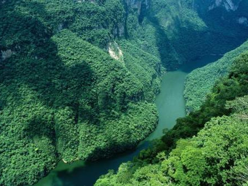 Parque Nacional Cañón del Sumidero reintroduce especies