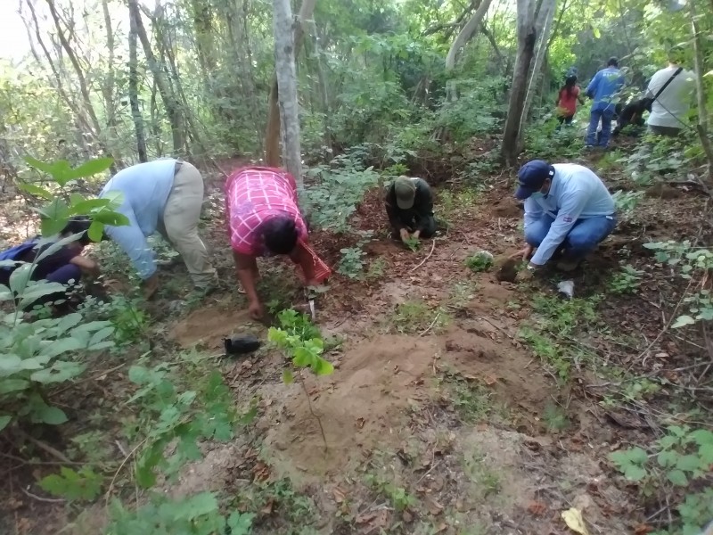 Parque Nacional Huatulco cierra jornada de reforestación 2021