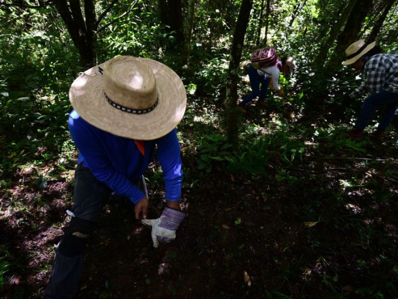 Parque Natura y Estancia Garnica podrían ser una fosa clandestina