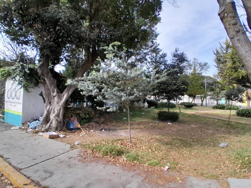 Parque se convierte en basurero en Colonia Guadalupe; denuncia ciudadana