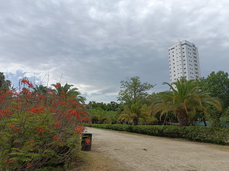 Parque Sinaloa reverdece: lluvias traen beneficios al jardín botánico