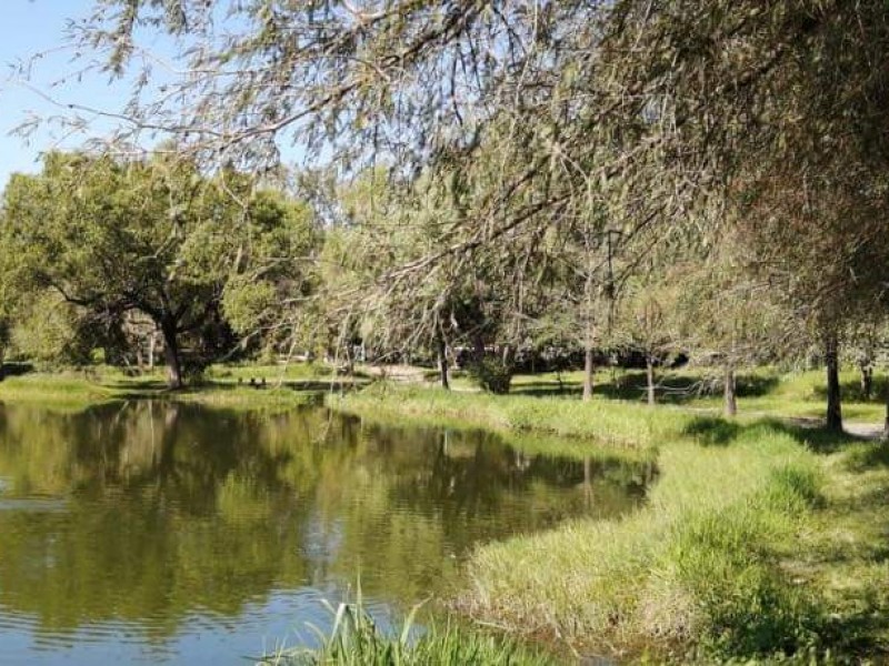 Parques Ecológico-Metropolitano no cerrarán sus puertas durante semáforo rojo epidemiológico