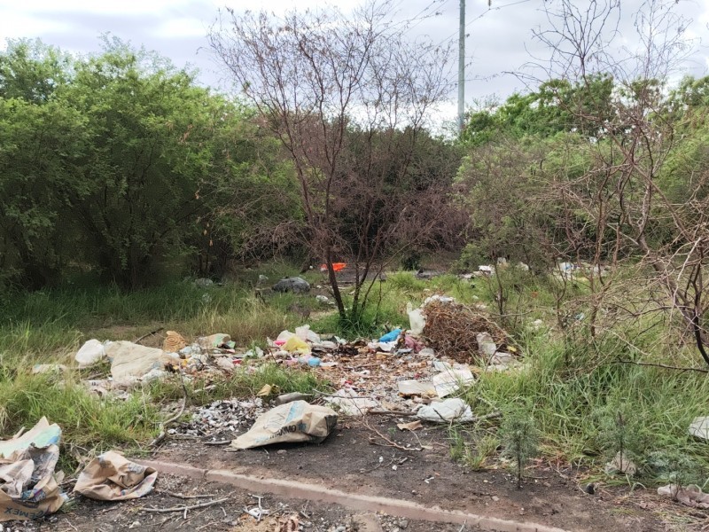 Parques públicos no mejoran, persiste abandono