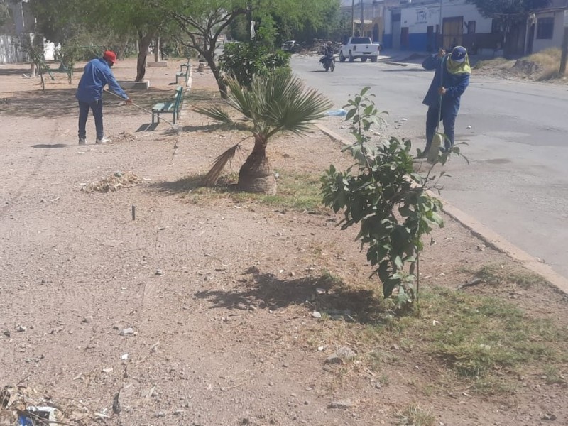 Parques y Jardines de Gómez Palacio atento a reportes ciudadanos