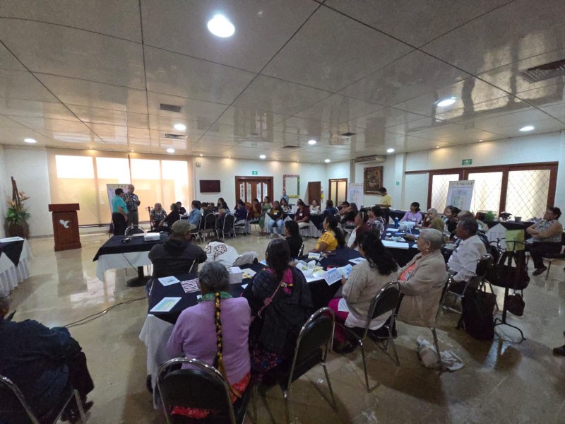 Parteras se capacitan en cuidados neonatales en Oaxaca
