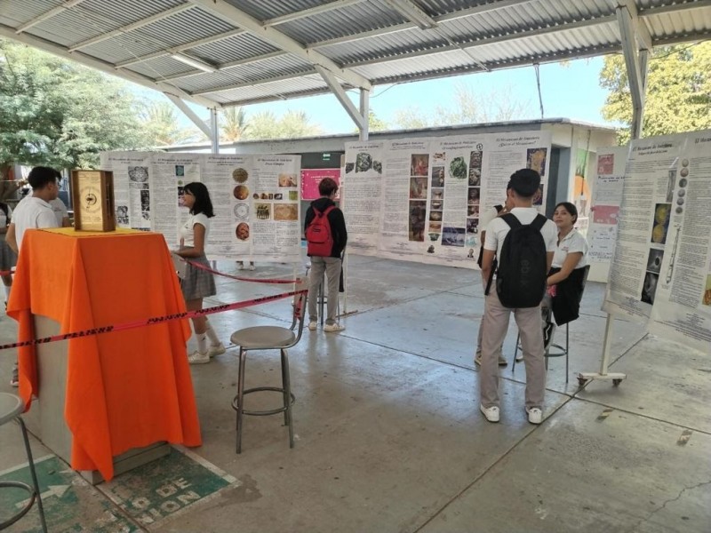 Participa alumnado de Cobach Sonora en Semana de la Ciencia