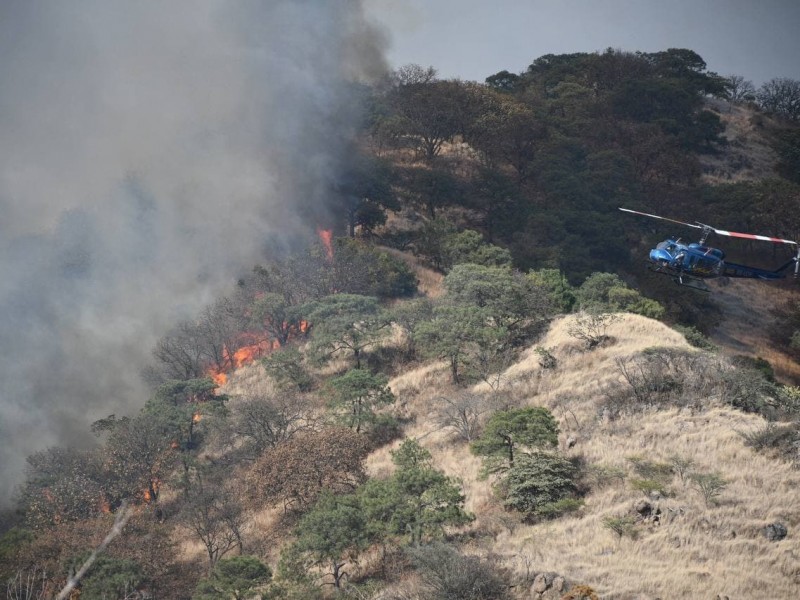 Participan 140 brigadistas contra incendio forestal en La Primavera