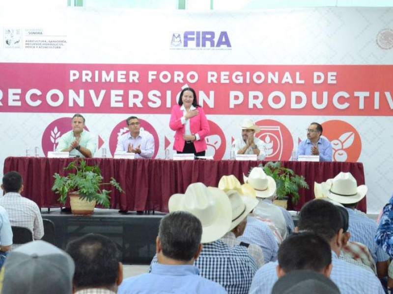 Participan productores en el “Primer Foro Regional de Reconversión Productiva”