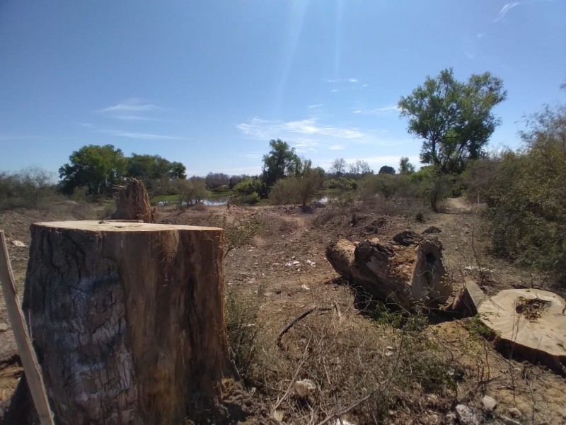 Particulares talan el Río Mayo y autoridad no sanciona