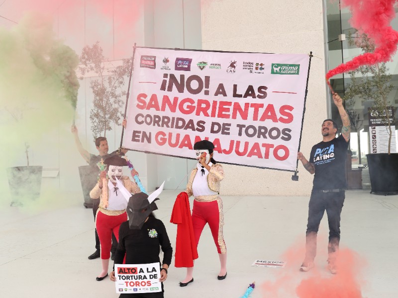 Partido Verde exige corridas de toros sin sangre en Guanajuato