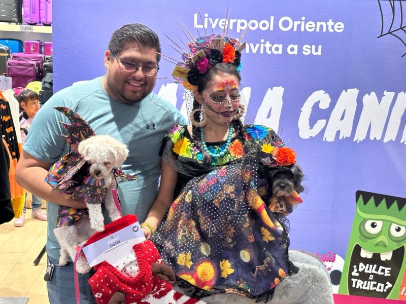 Pasarela canina en Tuxtla Gutierrez.