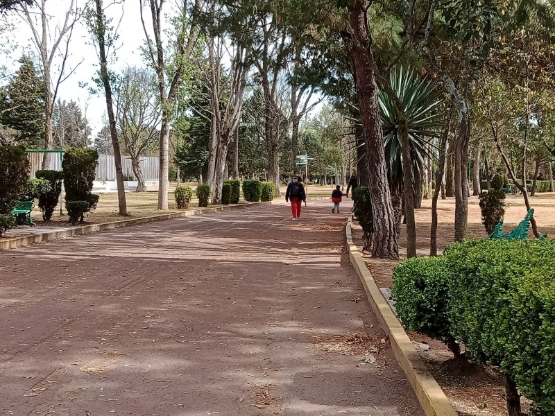 Pasean perros en parque y dejan las heces en Metepec