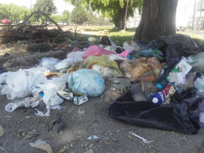 Paseo Tollocan convertido en tiradero clandestino