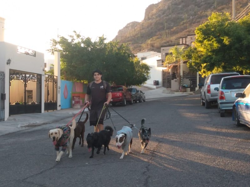 Paseo y ejercicio evita estrés en mascotas