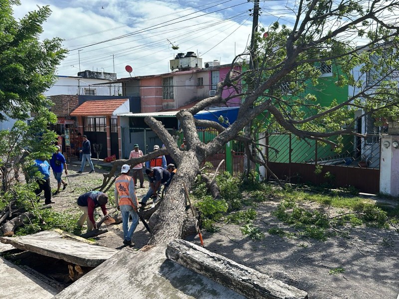 PC Veracruz atiende luminarias, postes y árboles caídos por norte