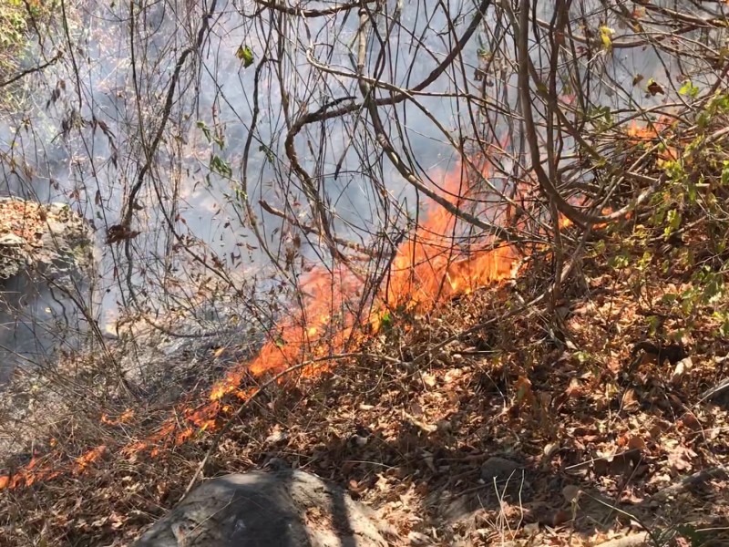 PCyB reporta 57 incendios por temporada de estiaje